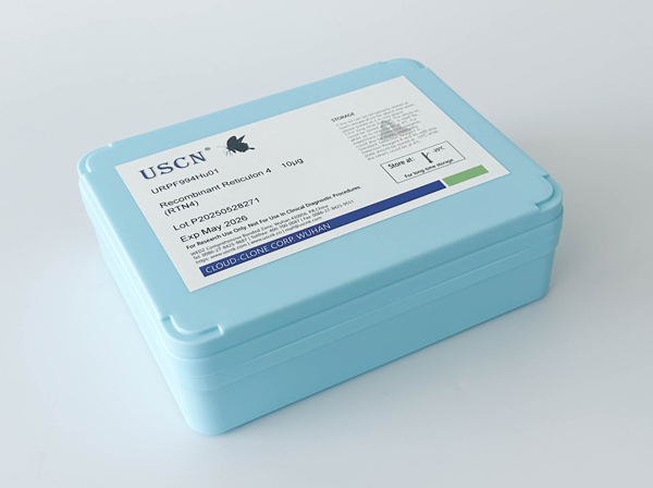 胰高血糖素樣肽1受體(GLP1R)重組蛋白