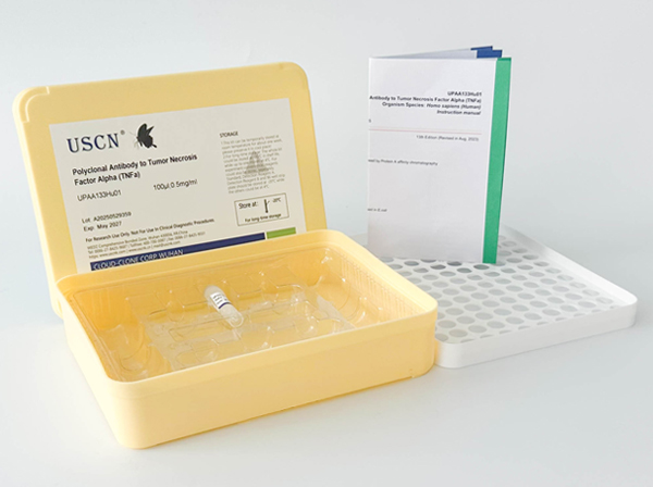 凋亡相關因子(FAS)多克隆抗體